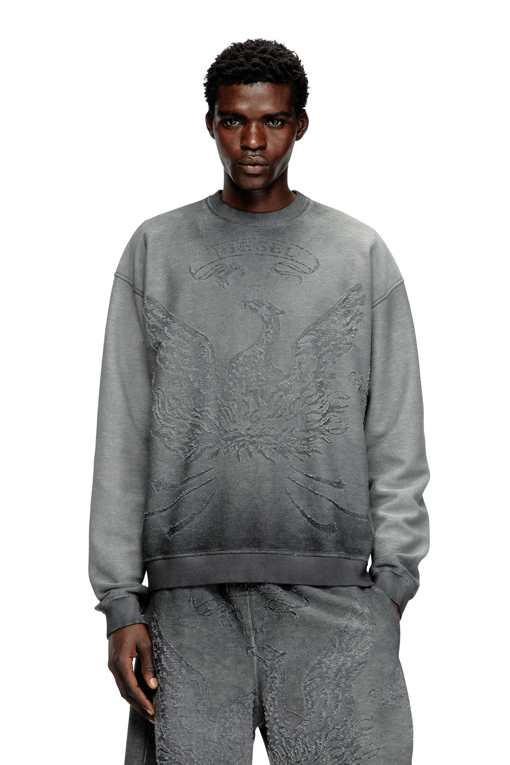 Diesel - S-ARON, Sweat-shirt délavé avec logo du phénix en dévoré Homme in Gris - 1